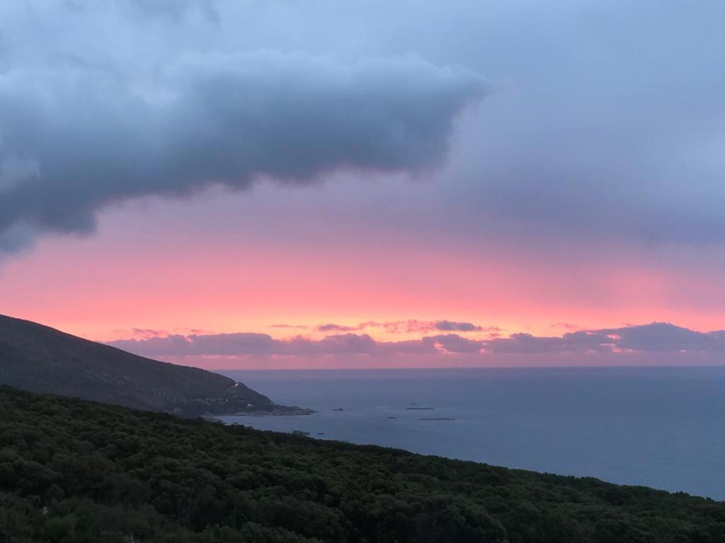 Camps Bay Blue Self-Catering Studios Cape Town Bagian luar foto